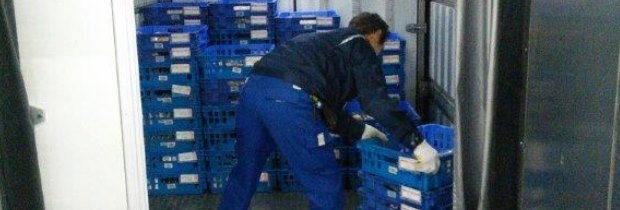 43歳 社員歴5年 ドライバー歴 5年
